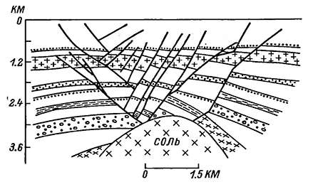 Рисунок 27. Широтное поперечное сечение структуры Хейдельберга