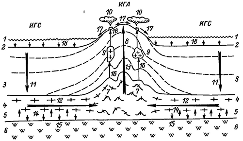 Рисунок 45. Принципиальный разрез геосинклинальной метаморфогенной конвекционной кинематической системы (конвекционной ячеи).