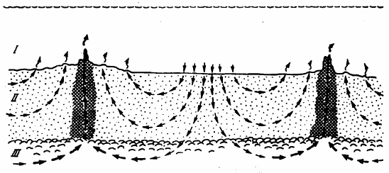 Рисунок 153. Схема конвективной циркуляции морской воды в пористых отложениях осадочного слоя и базальтах рифтовой зоны Калифорнийского залива: