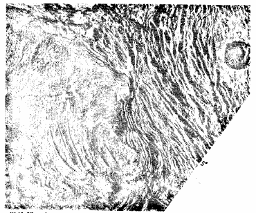 Рисунок 74. Радиолокационное изображение участка поверхности Венеры размером 500×550 км в месте сочленения гор Максвелла — аналога зон скучивания тонких базальтовых пластин с плато Лакшми — аналогом континентального массива