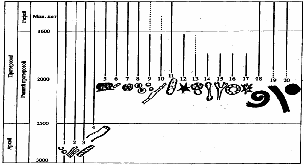 Рисунок 155. Схема распределения остатков основных типов микрофоссилий в архее и раннем протерозое, по М. А. Семихатову и его коллегам (1999).